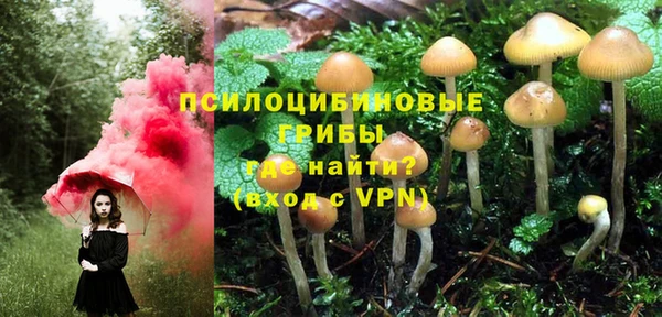 марихуана Абаза